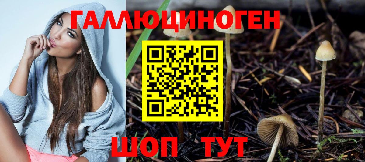 Галлюциногенные грибы Cubensis  Вход с VPN  Братск 